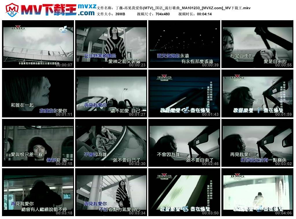 丁薇-再见我爱你(MTV)_国语_流行歌曲_MA101233